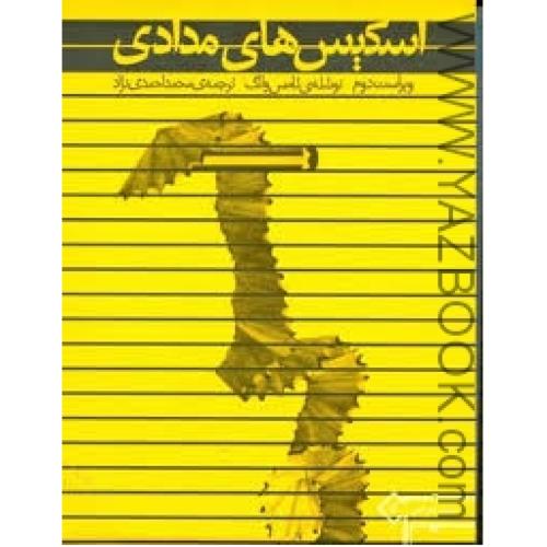 اسکیس های مدادی-وانگ-احمدی نژاد
